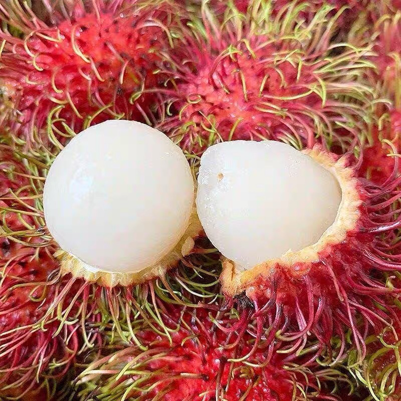 顺丰新鲜红毛丹：当季热带水果，一口鲜甜，整箱包邮，尝鲜必备！