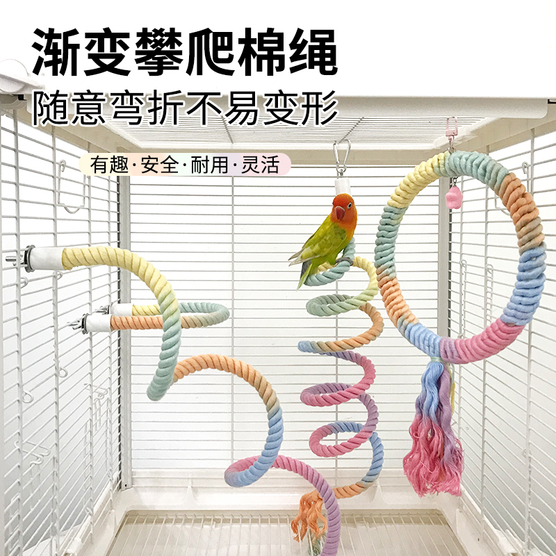 鹦鹉玩具大揭秘：旋转攀爬绳&amp;虎皮秋千，解锁鹦鹉新乐趣！