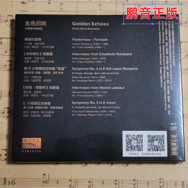 专业演奏圆号：开启音乐之旅的必备神器！
