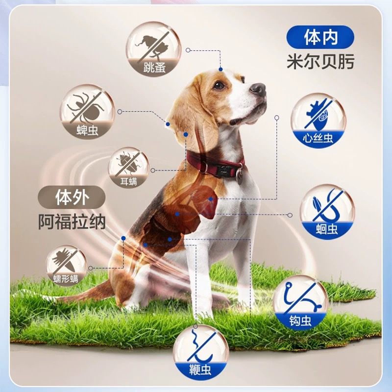 超可信体内外驱虫药：狗狗的守护神，宠物爸妈的福音！