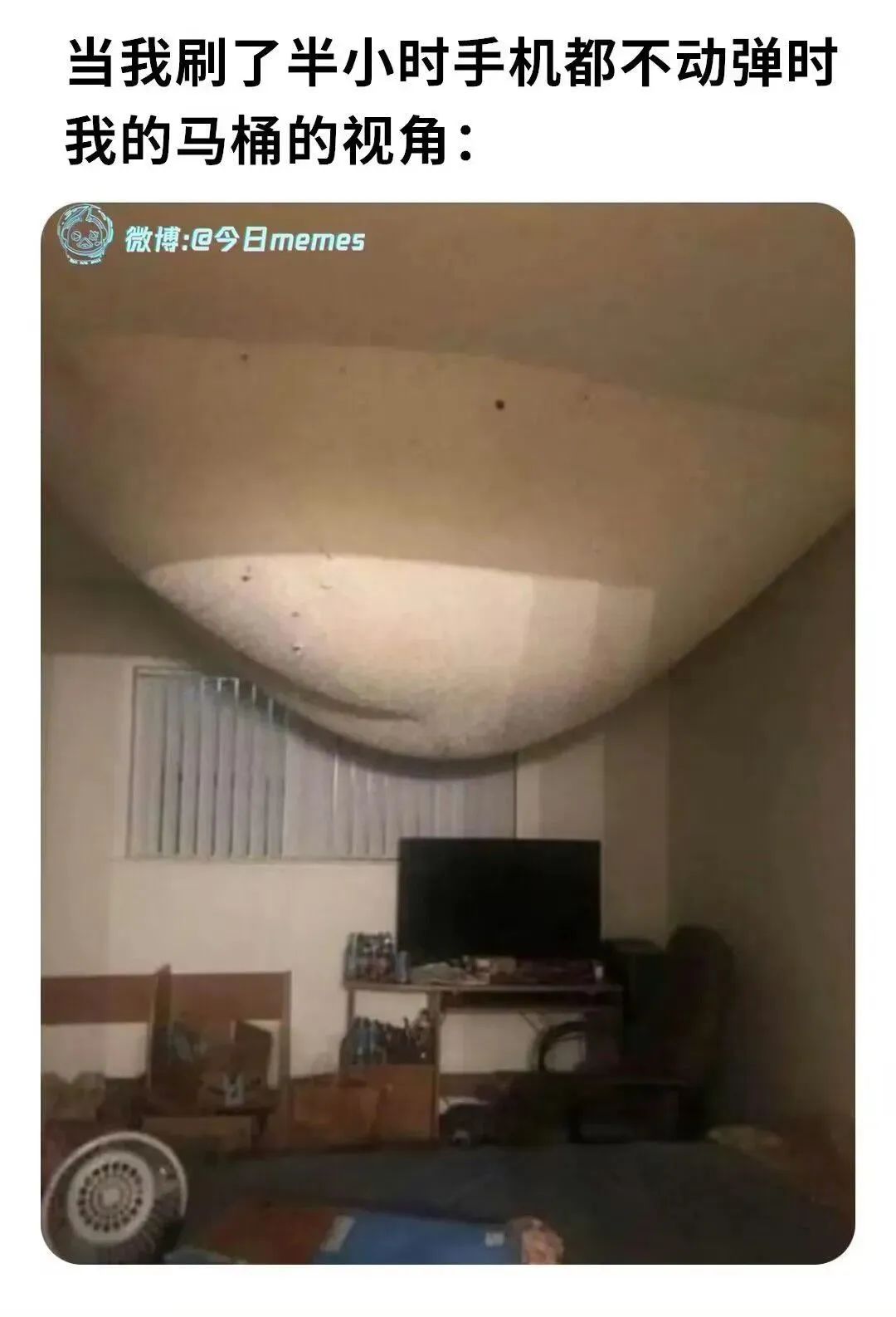 很难在现在的互联网找到一个没被韦一敏逗笑过的人