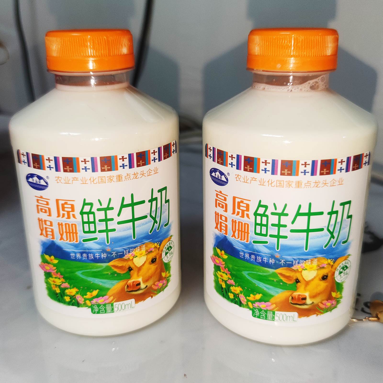 高原之宝牦牛奶：藏区珍稀，唤醒味蕾的纯净之旅
