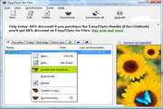Easy2Sync for Files7.04