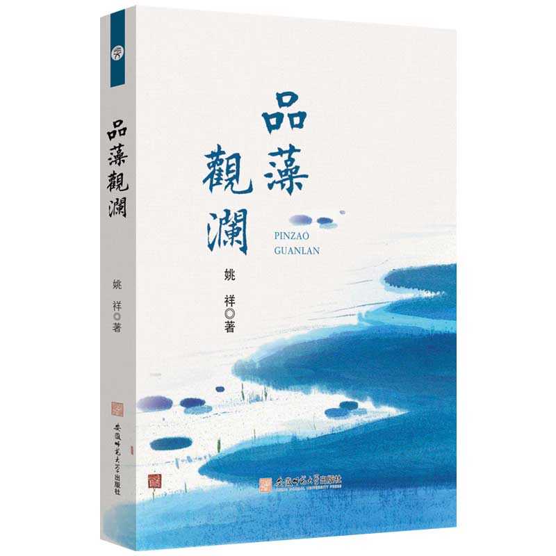 TORQUE拳击靶：解锁专业训练的秘密武器，打造最强格斗者！