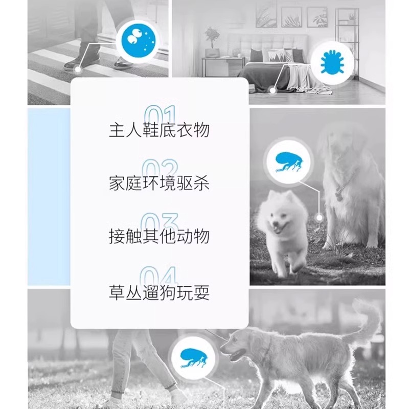 喆它乐乐贝多猫咪驱虫神器，宠物主必备良药！