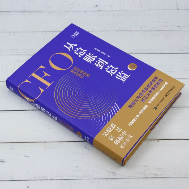 从总账到总监：财务人的进阶秘籍，解锁职场晋升密码