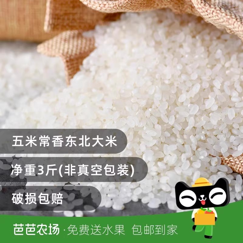 戴尔技术支持人工客服怎么联系？快速解决你的问题