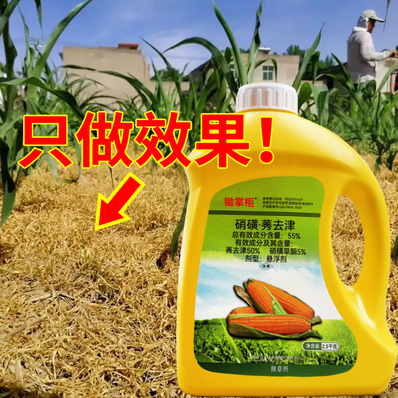 锄掌柜玉米除草剂：神玉米地苗后除草专用剂，守护你的黄金农田！
