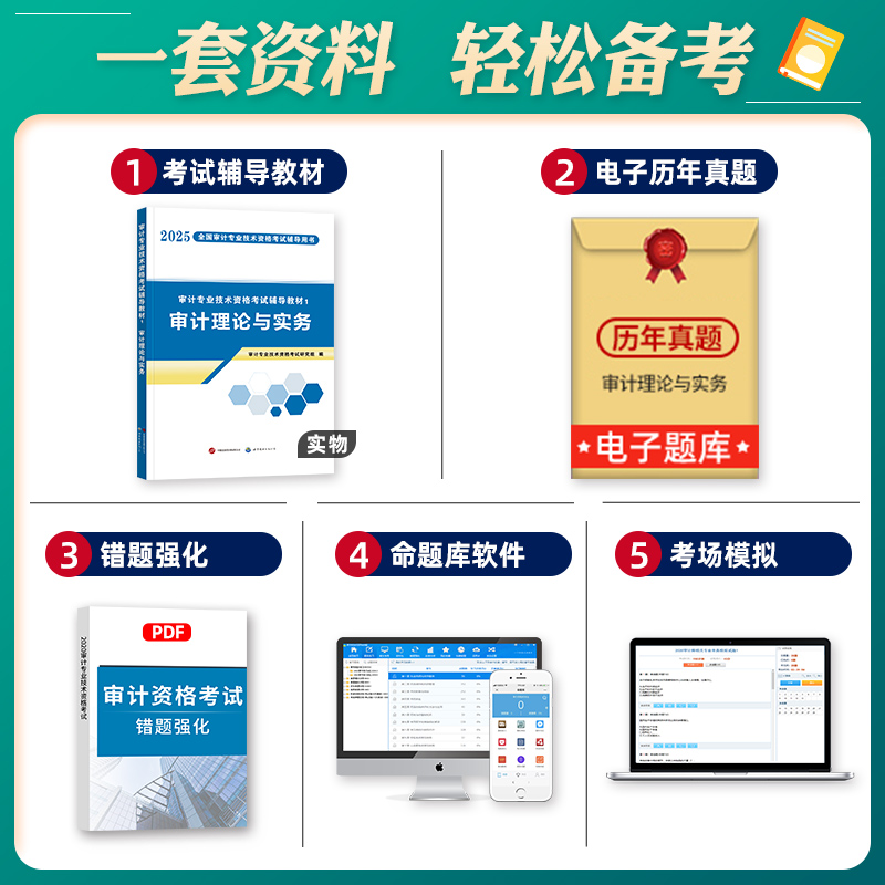 天明2025审计师考试教材：初级中级审计理论与实务备考秘籍，助你轻松通关！