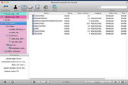 Navicat Essentials for Oracle For Mac11.2.4