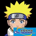 市场行情关键词查询V1.0绿色版