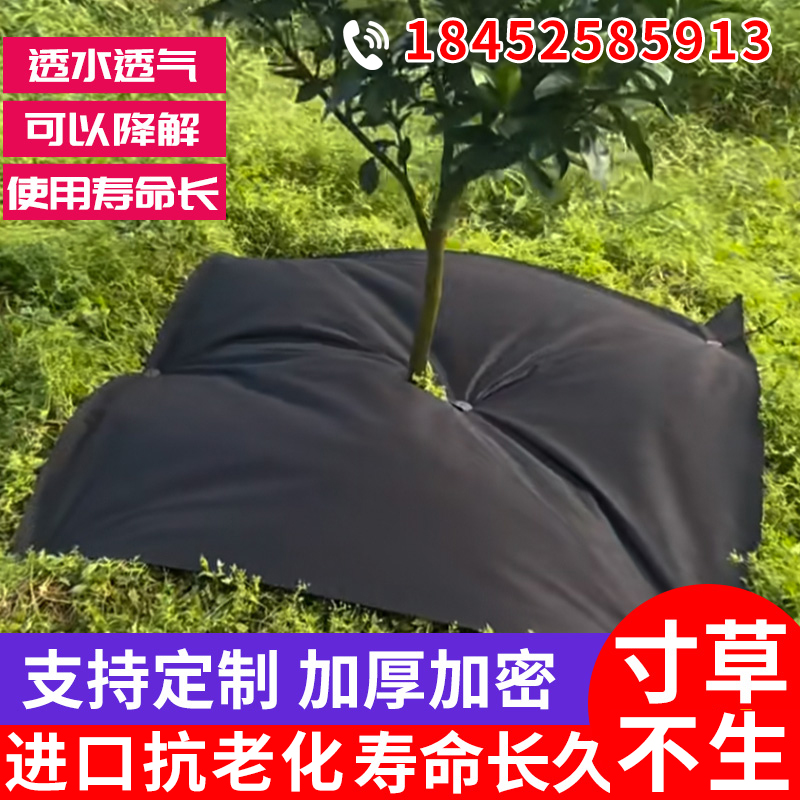 防草布真的能一劳永逸？果园除草神器测评！种草不踩雷