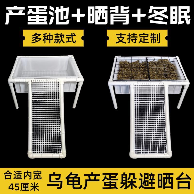 养乌龟必备神器！高水位晒台+躲避屋，乌龟都抢着住！
