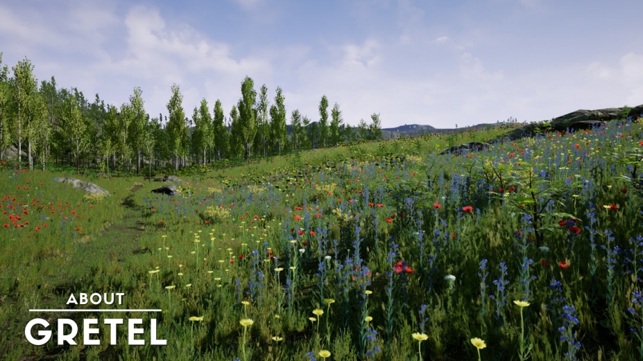 关于格蕾泰尔免安装绿色中文版[官方中文]8