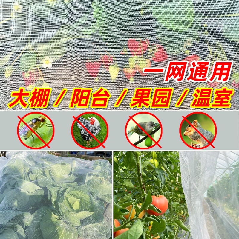 阳台蔬菜守护神：防虫网种菜专用，让你的阳台菜园无忧无虑！✨