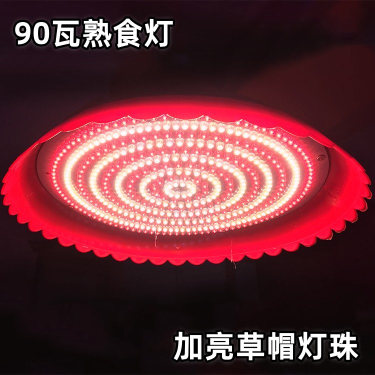 三轮车电瓶电压转换神器！36V→12V/24V超实用，电动车党必看！