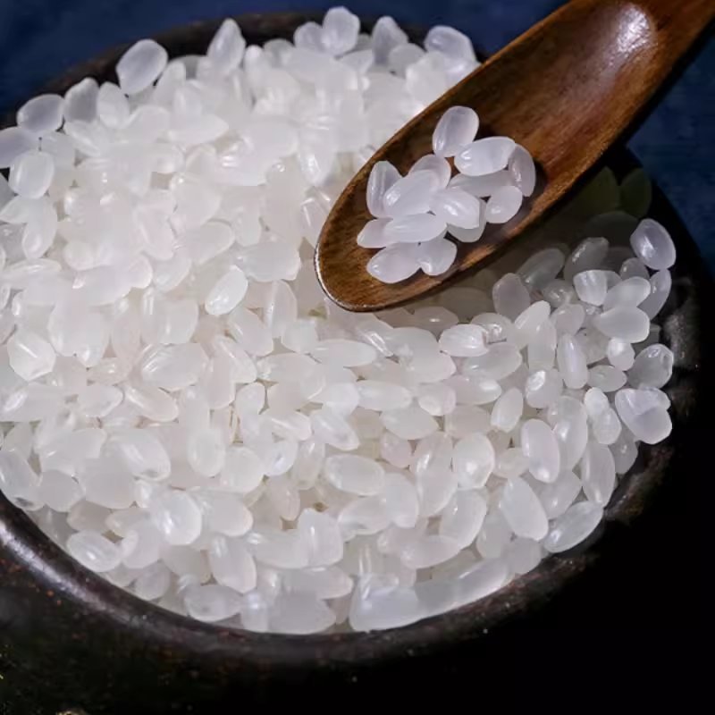 黑龙江纪事：三联书店里的东北往事，唤醒你的记忆之旅！