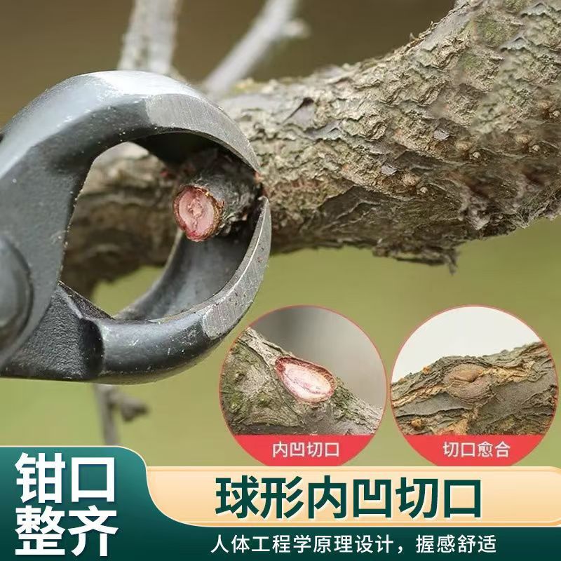 园林加重球节剪球形剪盆景钳子：园艺达人的必备神器，打造梦幻盆景的秘密武器！