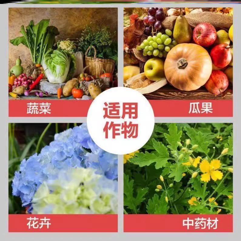 农用硼肥的秘密武器：解锁蔬菜、花卉、果蔬高产的终极攻略！