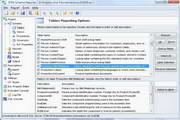 DTM Schema Reporter Professional1.29