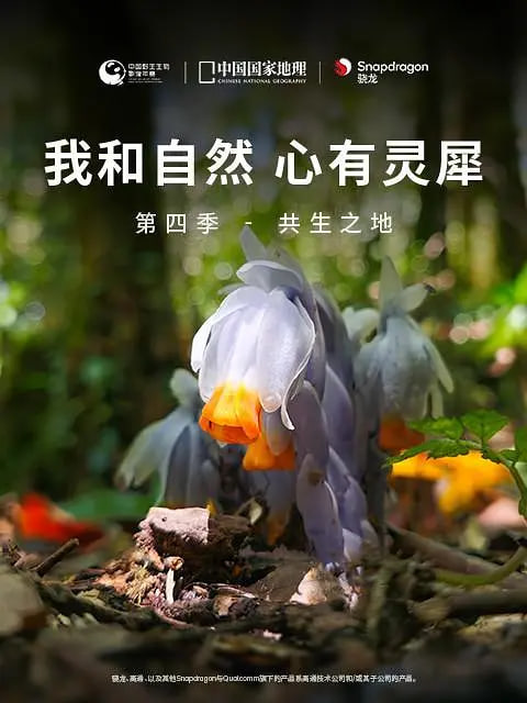 我和自然 心有灵犀第四季