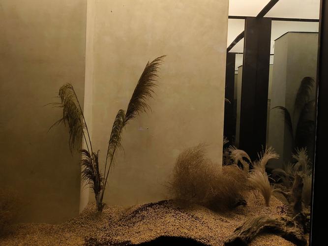 网友推荐的武汉武昌男士沐足,拥有一次无法自拨的极致感受