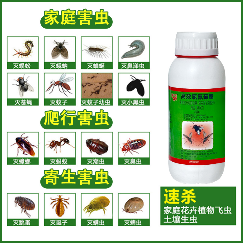 灭蟑螂神器大面积餐厅酒店无气味消杀苍蝇蚊菊酯类杀虫剂虫卵双杀，告别虫害困扰！✨
