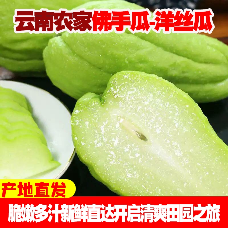 云南新鲜佛手瓜丰收季，现摘现发，窝瓜丝瓜齐上阵！