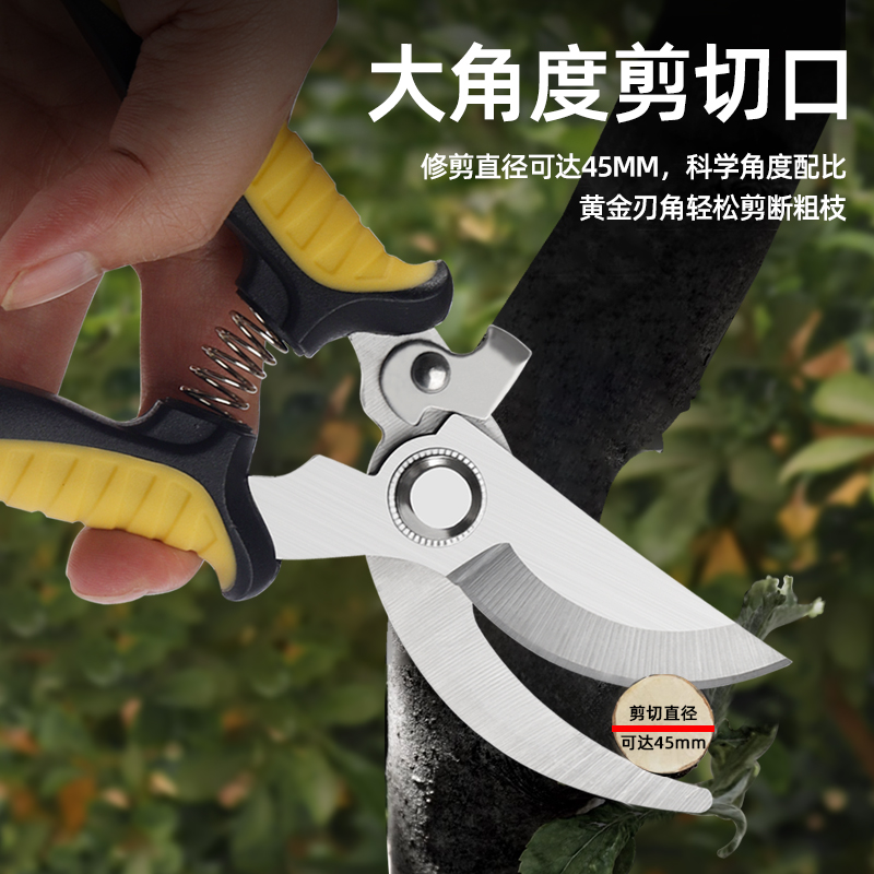 德力西园艺剪刀真的绝了！修剪花草太香了，花友都问链接！