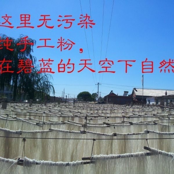 东北林口奎山孙记粉条：地道手工，不加胶，包邮尝鲜！✨