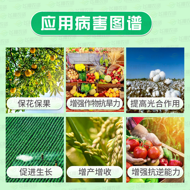 国光抑蒸抑制蒸发剂：抗旱神器，守护植物水分的秘密武器！