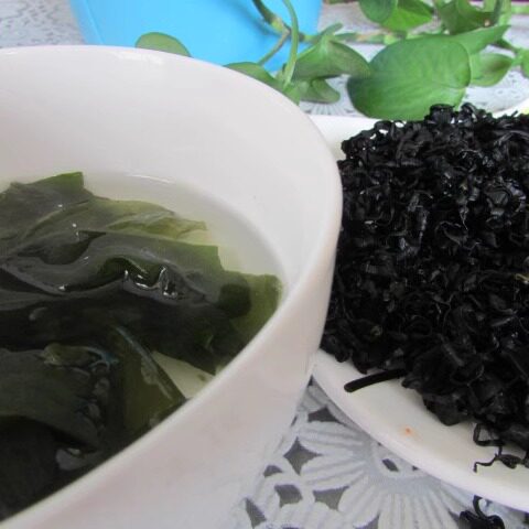 什么样的裙带菜更受欢迎？大连特产江能裙带菜如何选择？
