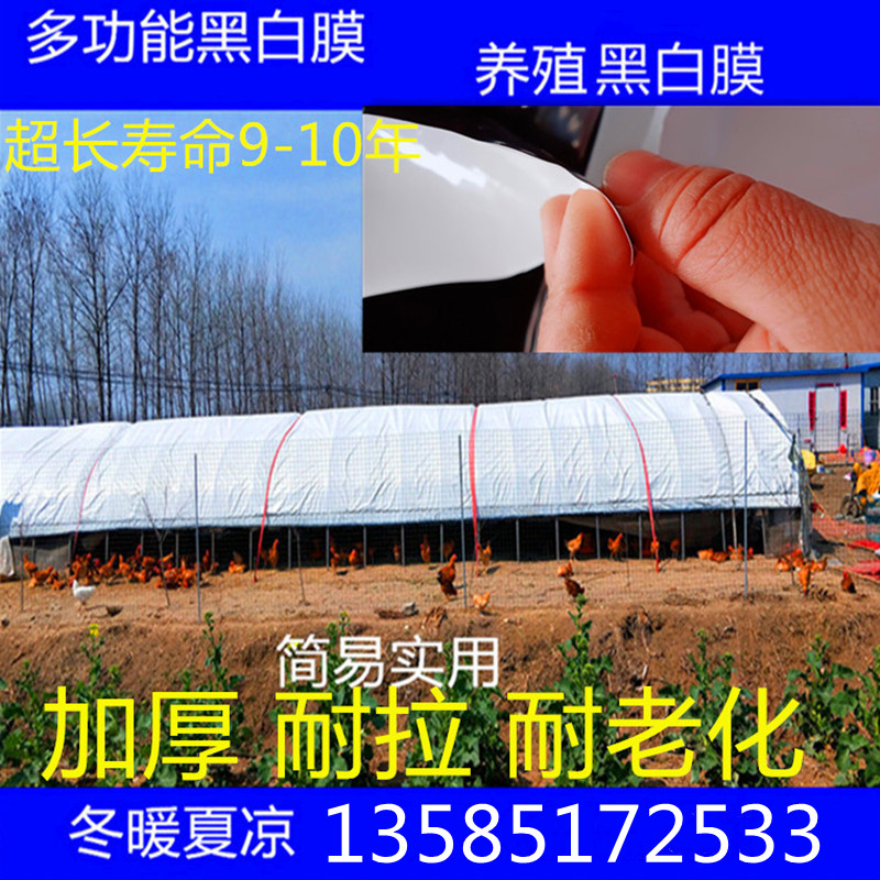 户外照明装置怎么选？避坑指南+实用技巧全在这！