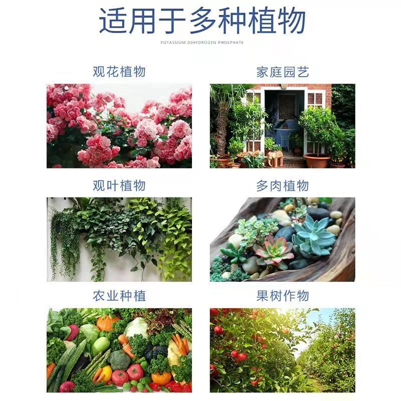 磷肥过磷酸钙催养花用农用种菜化肥料100斤氮果树颗粒生壮根盆栽：种植达人的秘密武器！