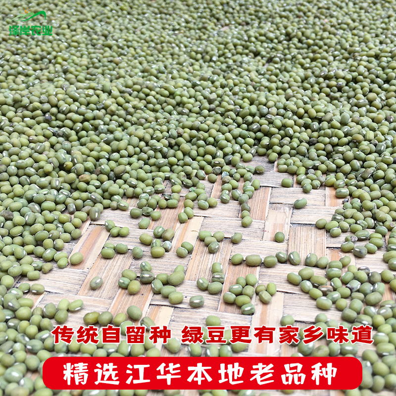 湖南农家干绿豆｜小粒毛绿豆自种新货，煮糖水/生豆芽都绝了！✨