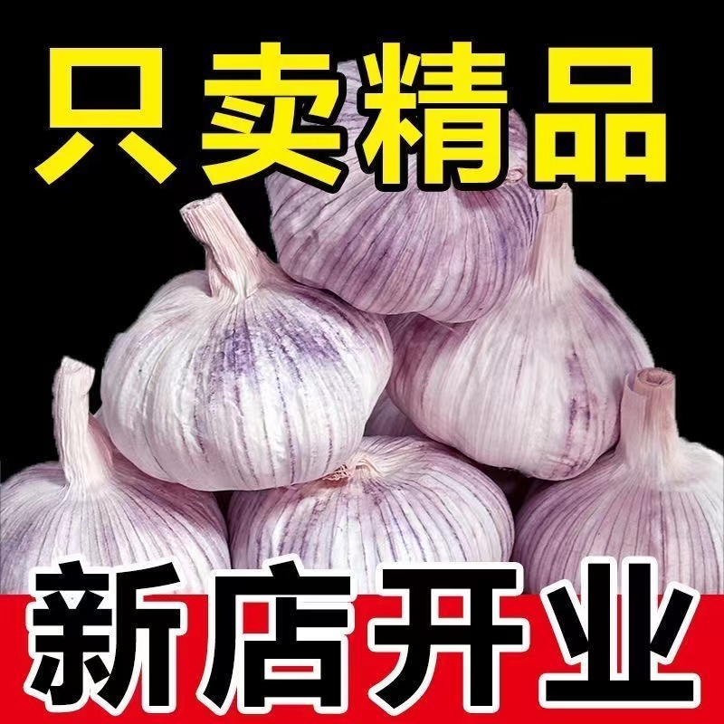 2025河南农家自种新鲜新大蒜头带箱紫白皮，地道风味，一口难忘！️