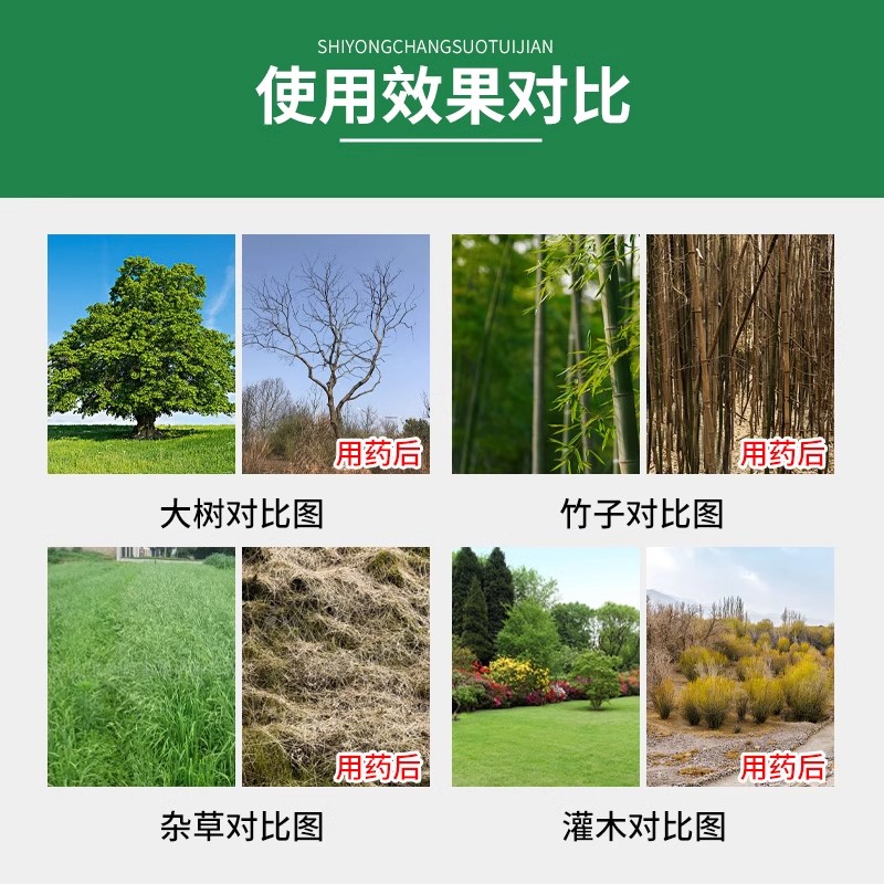 除树神器来了！环嗪酮除树剂真的能烂根？效果太绝了！