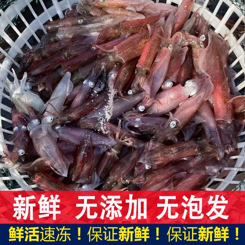 新鲜笔管鱼&amp;现捞大个海兔：海鲜界的宝藏组合，吃货必看攻略！