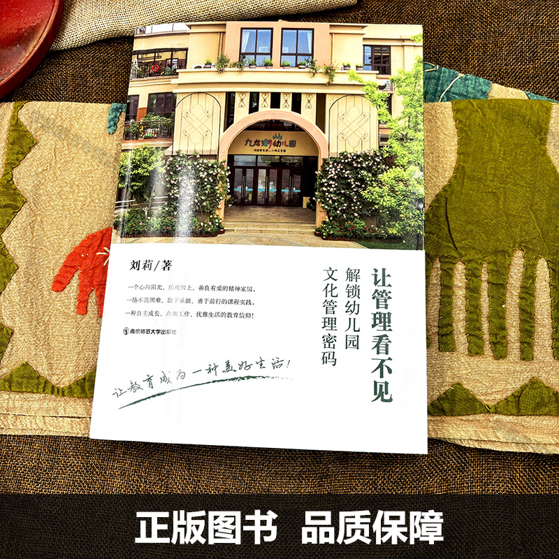 图论新视界：《图论中的图分割与图匹配问题》科学出版社，解锁算法奥秘