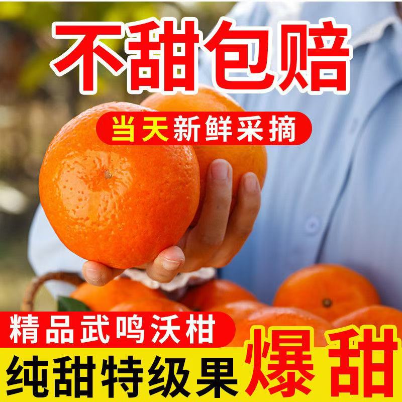 福海路桔子酒店什么时候开业的？