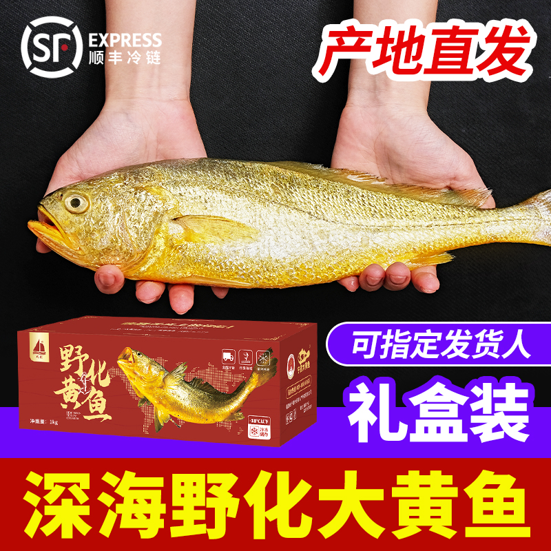 鸿顺生鲜大黄鱼礼盒：来自宁德的海洋馈赠，如何挑到最鲜美的500g*5条精品大黄鱼？