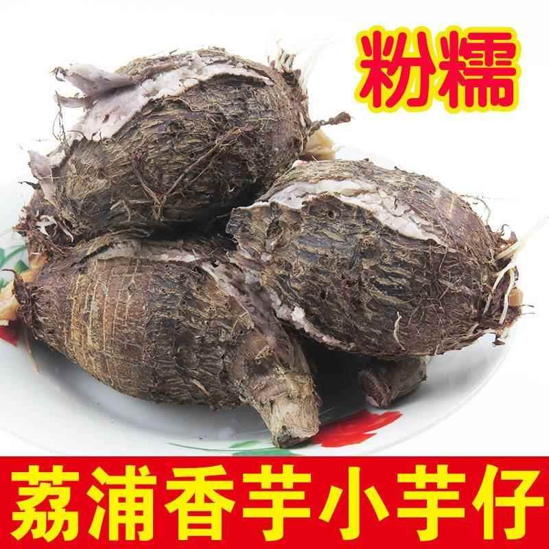 广西荔浦小芋头仔！软糯香芋艿粉糯新鲜，农家直发不踩雷！这波真的冲了
