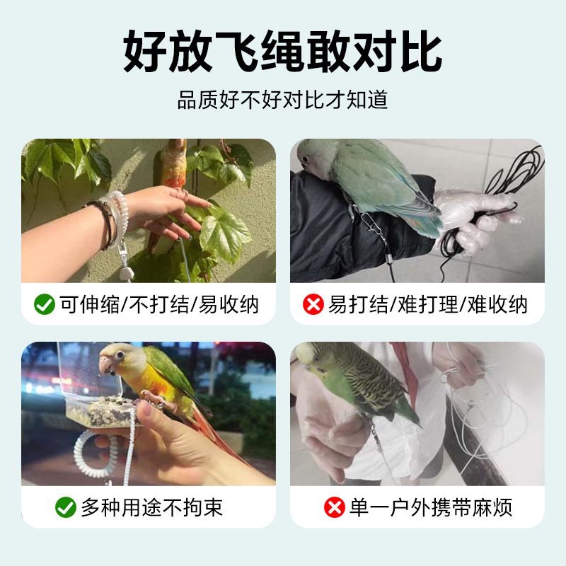 鹦鹉牵引绳虎皮放飞绳：遛鸟神器，让你的小鸟自由飞翔！✨