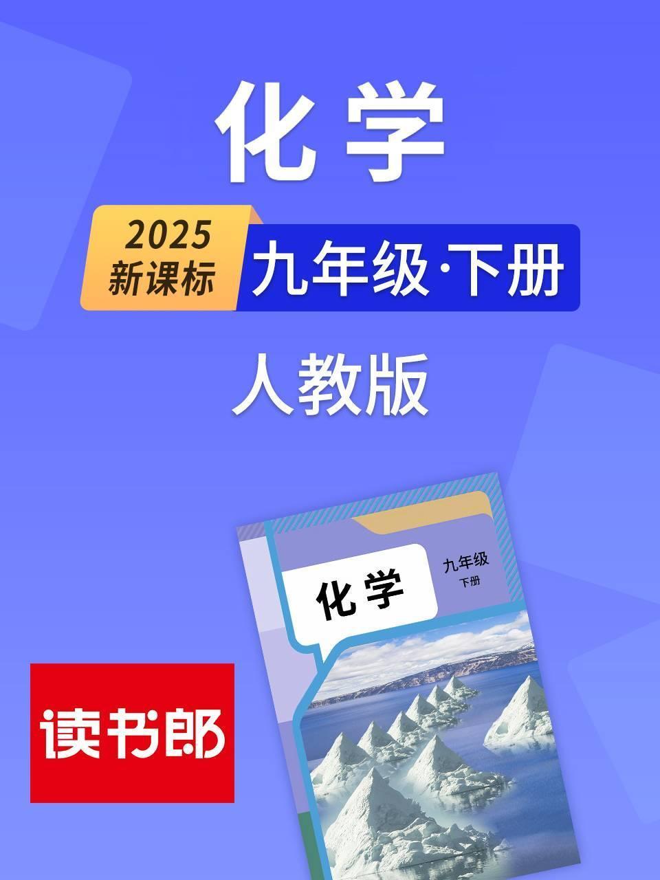 2025新课标化学九年级下册人教版