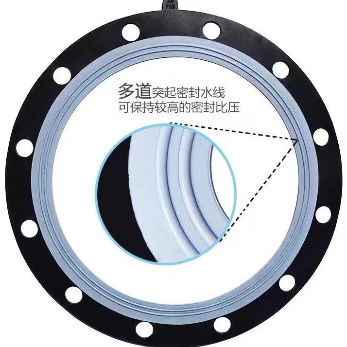 EPDM PTFE复合垫片：超纯水法兰密封专家，守护水质纯净！