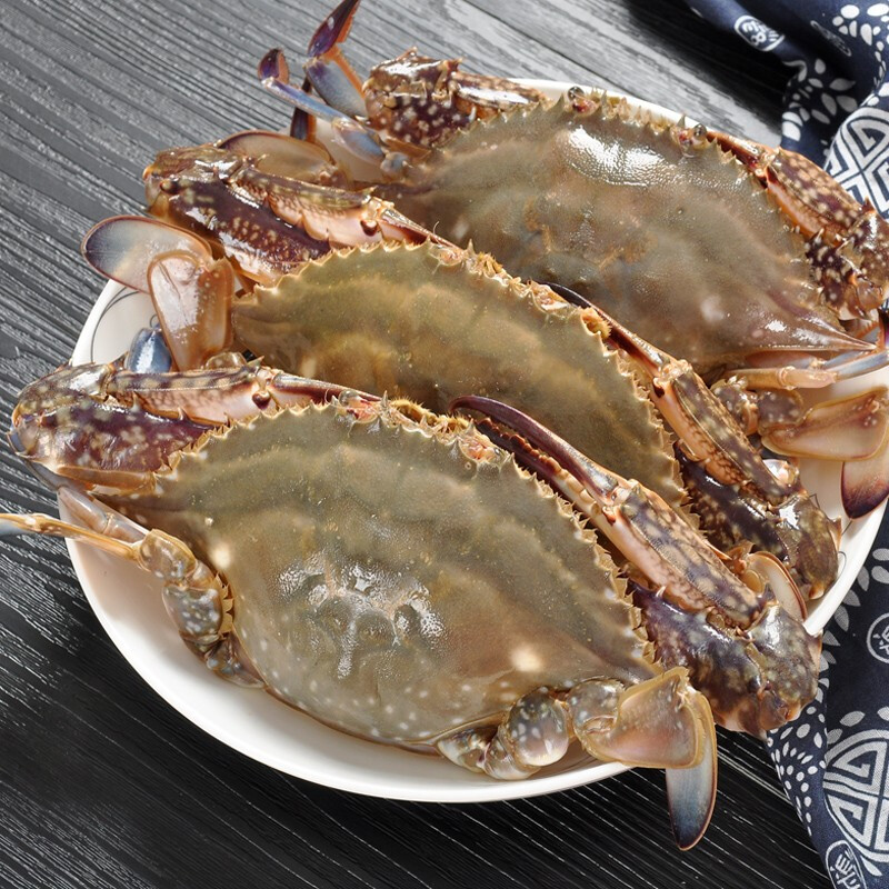 梭子蟹鲜活特大海蟹，野生大螃蟹的美味诱惑！