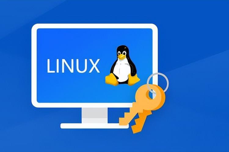 安卓和linux的关系,紧密相连的生态系统