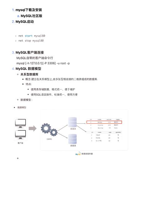 数据库插入字段,深入解析数据库插入字段操作