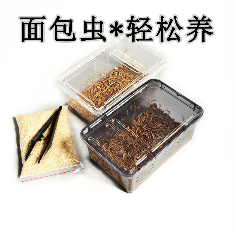 宠物零食大揭秘：小鳄龟专用面包虫，让你的小宠吃得开心又健康！