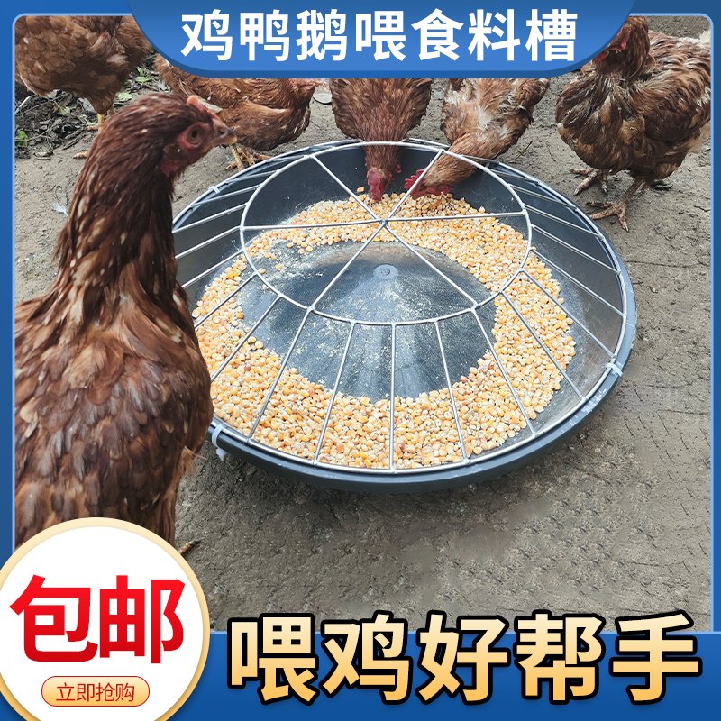 华畜温立康：开启高效家禽养殖的新篇章，你还在等什么？